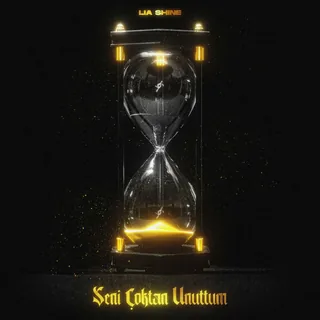 Seni Çoktan Unuttum